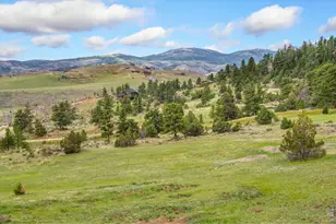 171 Critter Ct, Livermore, CO 80536 - Photo 35