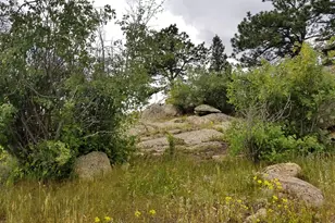 983 Ramona Dr, Red Feather Lakes, CO 80545 - Photo 25