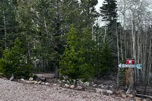 44 Natchez Cir, Red Feather Lakes, CO 80545 - Photo 23