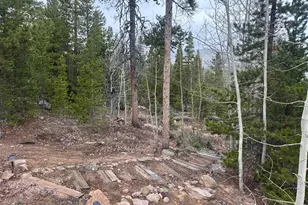 44 Natchez Cir, Red Feather Lakes, CO 80545 - Photo 21
