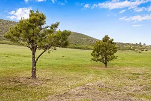 4727 Arthur Mae Ln, Laporte, CO 80535 - Photo 19