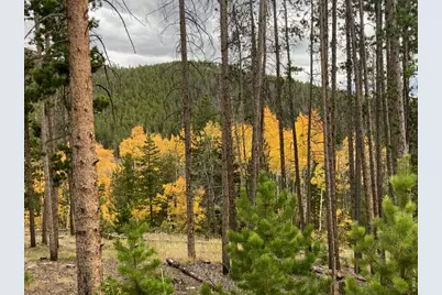 2227 Osage Trl, Red Feather Lakes, CO 80545 - Photo 9
