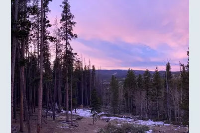 2227 Osage Trl, Red Feather Lakes, CO 80545 - Photo 7
