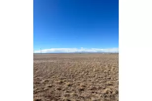 0 (Lot 49)cr 39, Nunn, CO 80648 - Photo 3