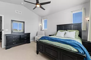 709 Hillspire Dr, Windsor, CO 80550 - Photo 17