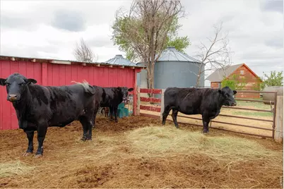37648 County Road 49, Eaton, CO 80615 - Photo 39