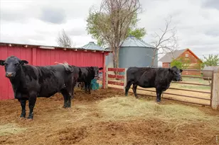 37648 Co Rd 49, Eaton, CO 80615 - Photo 39