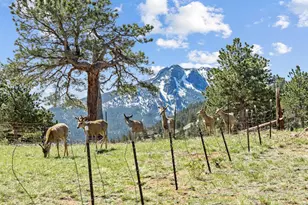 2010 Marys Lake Rd, Estes Park, CO 80517 - Photo 5
