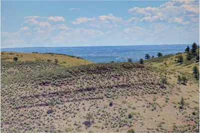 47 Pyrite Way, Lyons, CO 80540 - Photo 35