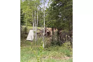 1064 Cold Springs Rd, Nederland, CO 80466 - Photo 15