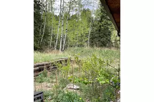 1064 Cold Springs Rd, Nederland, CO 80466 - Photo 21