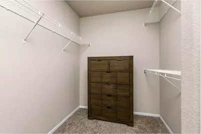 805 Mt Sneffels Ave, Severance, CO 80550 - Photo 21