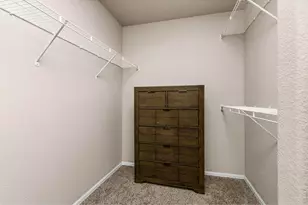 805 Mt Sneffels Ave, Severance, CO 80550 - Photo 21