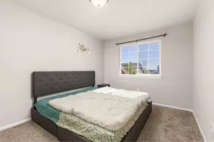 805 Mt Sneffels Ave, Severance, CO 80550 - Photo 23
