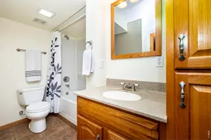 1110 Alpine Ct, Windsor, CO 80550 - Photo 33