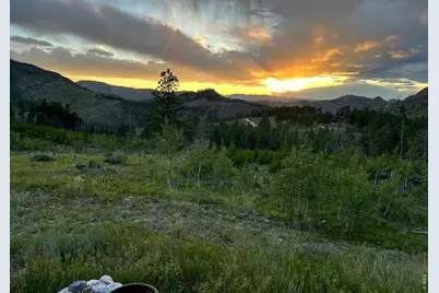 892 Stratton Park Rd, Bellvue, CO 80512 - Photo 19