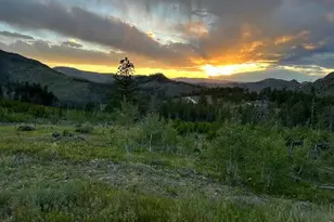 892 Stratton Park Rd, Bellvue, CO 80512 - Photo 19