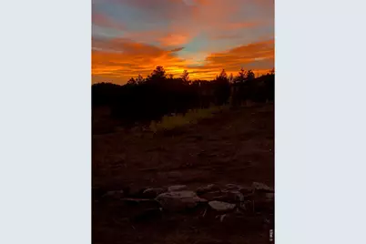 892 Stratton Park Rd, Bellvue, CO 80512 - Photo 21