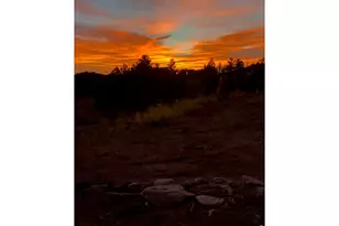 892 Stratton Park Rd, Bellvue, CO 80512 - Photo 21