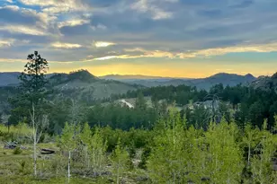 892 Stratton Park Rd, Bellvue, CO 80512 - Photo 9