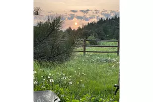 239 Estes Park Estates Dr, Lyons, CO 80540 - Photo 35
