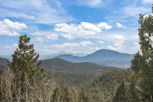 31468 Kings Valley W, Conifer, CO 80433 - Photo 27