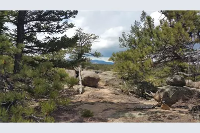 2928 Fox Acres Dr E, Red Feather Lakes, CO 80545 - Photo 3