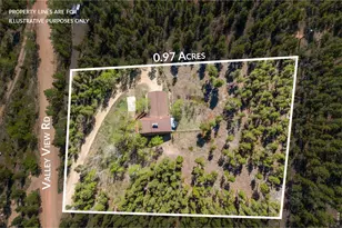 56 Valleyview Dr, Nederland, CO 80466 - Photo 41
