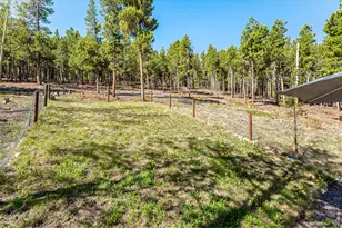 56 Valleyview Dr, Nederland, CO 80466 - Photo 17