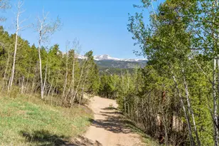 56 Valleyview Dr, Nederland, CO 80466 - Photo 45