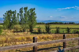 7237 Spring Creek Cir, Niwot, CO 80503 - Photo 43