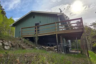 328 N Skinner Rd, Allenspark, CO 80510 - Photo 7