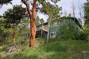328 N Skinner Rd, Allenspark, CO 80510 - Photo 5