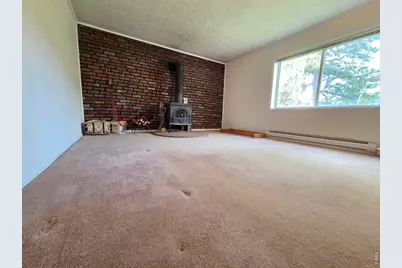 328 N Skinner Rd, Allenspark, CO 80510 - Photo 29