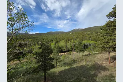 328 N Skinner Rd, Allenspark, CO 80510 - Photo 13