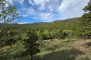 328 N Skinner Rd, Allenspark, CO 80510 - Photo 13
