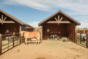 9816 County Road 7 Rd, Longmont, CO 80504 - Photo 47