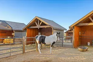 9816 County Road 7 Rd, Longmont, CO 80504 - Photo 45