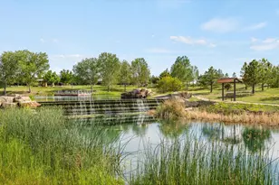 15934 Wild Horse Dr, Broomfield, CO 80023 - Photo 23
