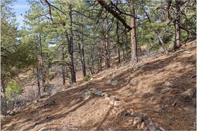 5771 Obenchain Rd, Laporte, CO 80535 - Photo 19