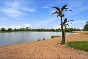 312 Habitat Cove, Windsor, CO 80550 - Photo 45