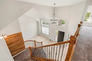 312 Habitat Cove, Windsor, CO 80550 - Photo 19