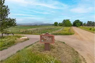 729 Kubat Ln, Longmont, CO 80503 - Photo 23