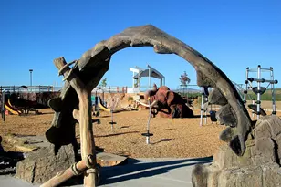 6401 Finch Ct, Fort Collins, CO 80525 - Photo 39