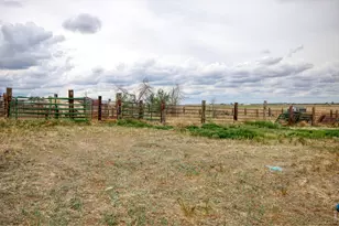 7513 Co Rd 6, Wiggins, CO 80654 - Photo 39