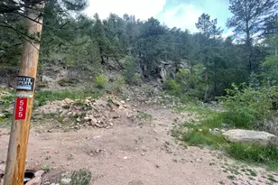 555 Riverside Dr, Lyons, CO 80540 - Photo 1