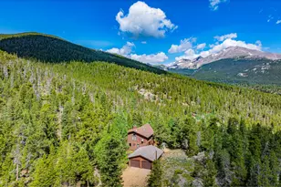 518 Mdw Mountain Dr, Allenspark, CO 80510 - Photo 7
