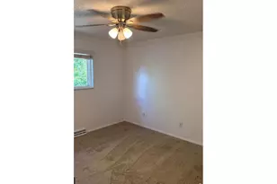 905 Woodbine Dr, Windsor, CO 80550 - Photo 17