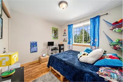 813 Audubon Blvd, Severance, CO 80550 - Photo 19