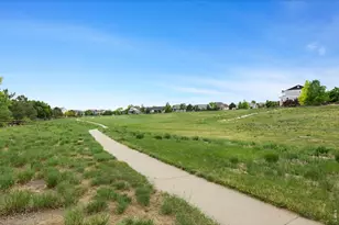 8555 Blackwood Dr, Windsor, CO 80550 - Photo 47
